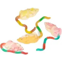Trolli Gommuizen - 6 kilo