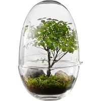 Design House Stockholm Grow kas x-large Ø20 cm