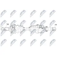 NTY Aandrijfas NPW-PE-037