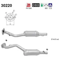 As 30220 Katalysator