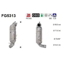 As FG5313 Roetfilter (DPF)