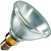 Schiefer | Grote fitting E27 | Reflectorlamp | 122mm | 120W