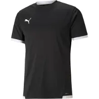Puma Tricot 'TeamLiga' zwart / wit