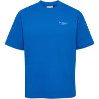 Hummel Functioneel shirt blauw / wit