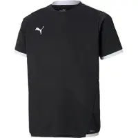 Puma Functioneel shirt 'TeamLiga' zwart / wit
