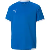 Puma Functioneel shirt 'TeamLiga'