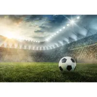 Consalnet Vliesbehang - Fotobehang - Voetbal - Stadion - Voetbalveld - (368 x 254 cm)