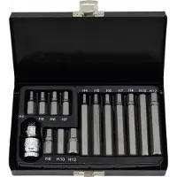 AWTOOLS AW35113BL - Imbus Bit Set - 15-delig - Staal S2 - Metalen Koffer