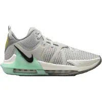 Nike LeBron Witness VII Light Grey | 44