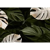 Karo-art 520cm X 318cm - Fotobehang - Wit en groene monstera bladeren, premium print, inclusief behanglijm