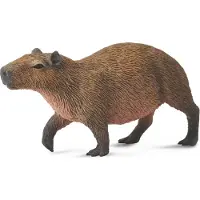Collecta Figurine - Waterzwijn - (M) - Bosdieren - Handgeschilderd - Miniatuur