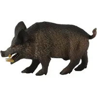 Collecta Figurine - Wild Zwijn - (M) - Bosdieren - Handgeschilderd - Miniatuur