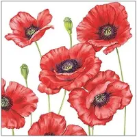 Ambiente 80x Klaprozen/poppy bloemen voorjaar servetten 33 x 33 cm - Papieren wegwerpservetten 3-laags