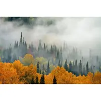 Karo-art 368cm X 280cm - Fotobehang - Mist in herfstbos, premium print, inclusief behanglijm