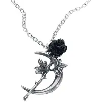 Alchemy Gothic - Gothic Halsketting - New Romance - voor Vrouwen - zilverkleurig - Maat Standard