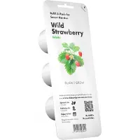 Click & Grow Smart Garden Navulling Strawberry 3-Pack