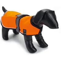 Beeztees veiligheidsvest met LED verlichting L