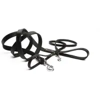 Beeztees leren hondenriem geniet zwart 100 x 16 mm