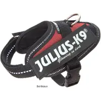 JULIUS K-9 IDC Powertuig Bordeaux - maat Baby 1