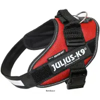 Julius-K9 IDC Powertuig Bordeaux - maat 0
