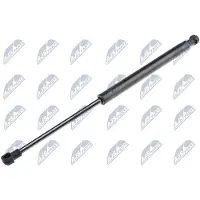 NTY AE-DW-004 Gasveer achterklep