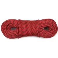 Tendon - Pro Work 10.5 - Statisch touw 30 m, rood