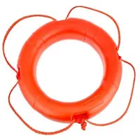 Talamex Lifebuoy 2.5kg Zilver 750 mm