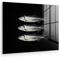 MuchoWow Glasschilderij 80x60 cm - Schilderij acrylglas - Haring - Vissen - Zwart - Foto op glas - Muurdecoratie woonkamer - Wanddecoratie slaapkamer - Schilderijen
