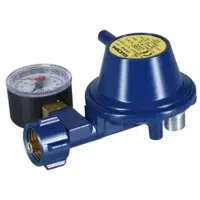 Talamex Gas Regulator With Manometer Zilver 30 mBar
