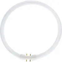 Philips Ronde TL 32W/840 TLE Coolwhite 5900612
