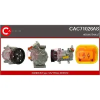 Casco CAC71042AS Aircopomp