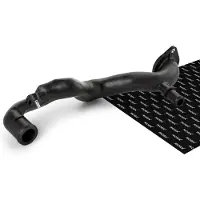 RIDEX 475R10137 Radiateurslang