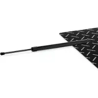 RIDEX 219G1293 Gasveer achterklep