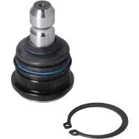 FEBI BILSTEIN 194955 Fuseekogel