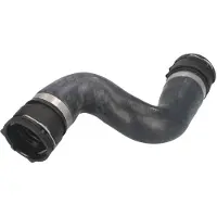 THERMOTEC Radiateurslang DWB121TT rechts