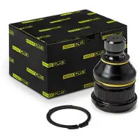 RIDEX 2462S0050P Fuseekogel