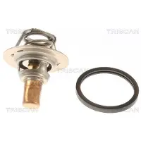 TRISCAN 8620 11191 Thermostaat, koelvloeistof