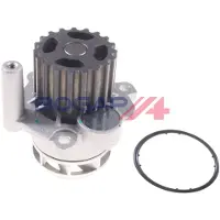 BOGAP A4234157 Waterpomp
