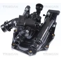 TRISCAN 8600 29090 Waterpomp