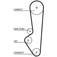 Gates T107RB Distributieriem