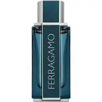 Ferragamo Intense Leather Eau de Parfum 100 ml