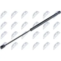 NTY AE-PL-011 Gasveer achterklep
