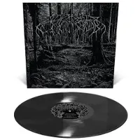 Suburban Wolves in the Throne Room