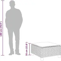 vidaXL Tuinkruk met kussen 63,5x56x32 cm poly rattan grijs