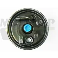 MOTAQUIP VFF493 Brandstoffilter