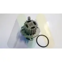 MOTAQUIP LVWP1062 Waterpomp
