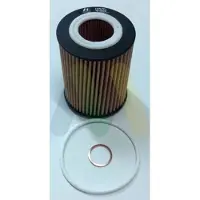 MOTAQUIP LVFL794 Oliefilter
