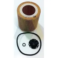 MOTAQUIP LVFL795 Oliefilter