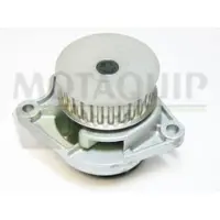 MOTAQUIP VWP751 Waterpomp