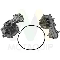 MOTAQUIP LVWP1098 Waterpomp